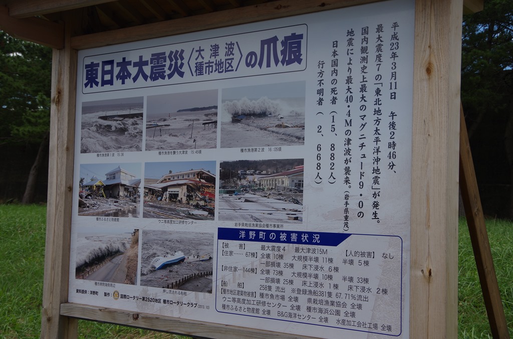 [IMGP73373.jpg]