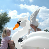 swans1.JPG