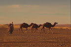 Marruecos_135.JPG