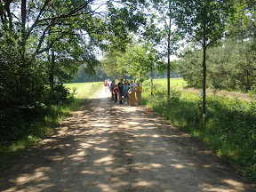DSC02887.JPG