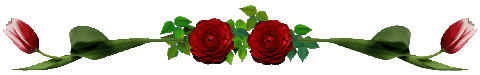 1894109xenafbu7814 1894109xenafbu7814