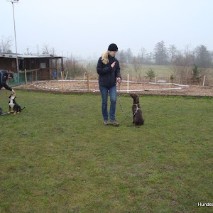 Junghunde-Kurs März 2011