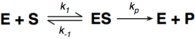 enzymes_equation.png Enzymes equation
