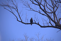 DSC_6444.jpg