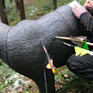 IMG_2593.JPG