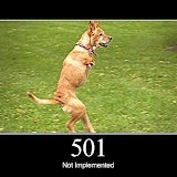 501.jpg 501.jpg