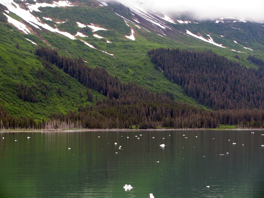 [Alaska-0353.jpg]