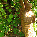 Montego Bay 091.JPG