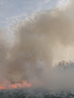 The smoke went up and away, as planned.