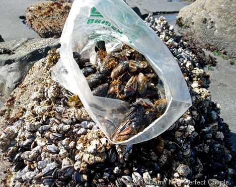 Bag O' Mussels