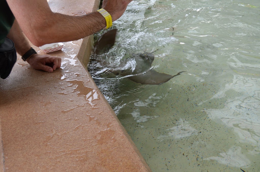 [DSC_8996%255B3%255D.jpg]