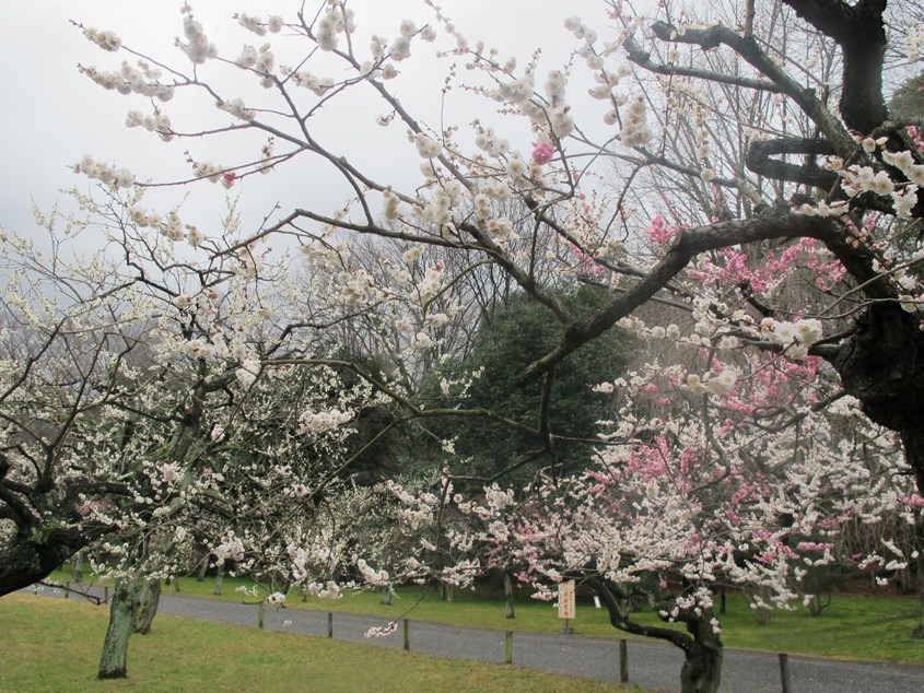 [2012Day-2_Pic246.jpg]
