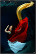 Dance Of Darkness