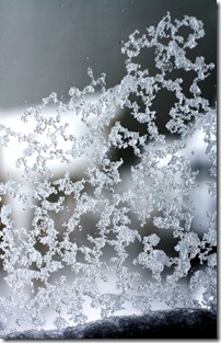 Frost on the window Frost on the window
