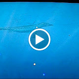 CLIP0695.AVI