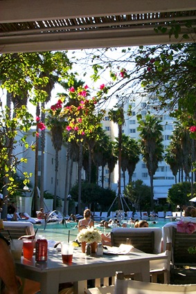 [delano%2520pool%255B7%255D.jpg]