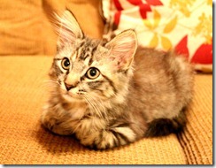 IMG_0055 IMG_0055