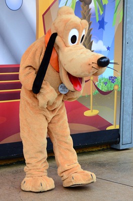 Disney Saturday 47