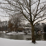 IMG_9563.jpg