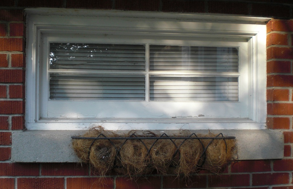 [Window%2520Box%2520No%2520Flowers%255B6%255D.jpg]