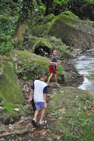 pinoyecofarm november_0077.JPG