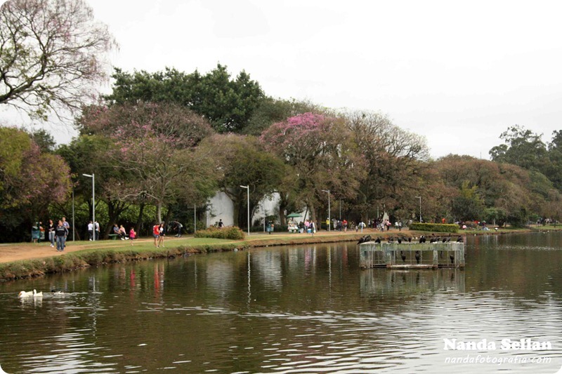 IMG_0200 IMG_0200
