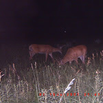 ICAM0109.JPG