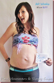 1-20 weeks front