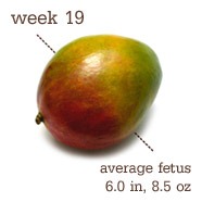 [week19%255B6%255D.jpg]