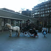 BILD0013.JPG