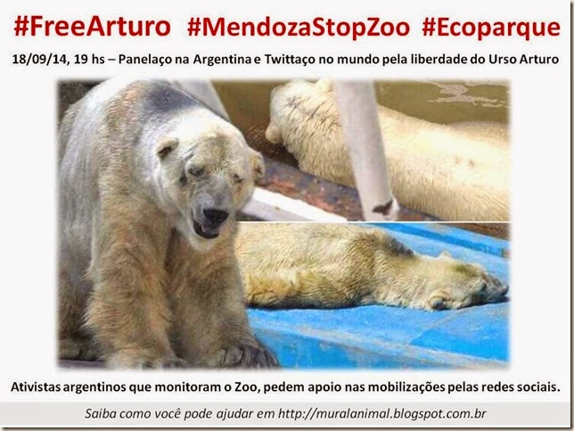 freearturo freearturo