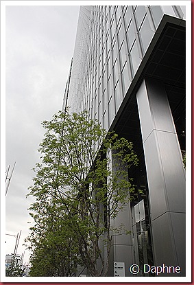 IMG_2842 IMG_2842