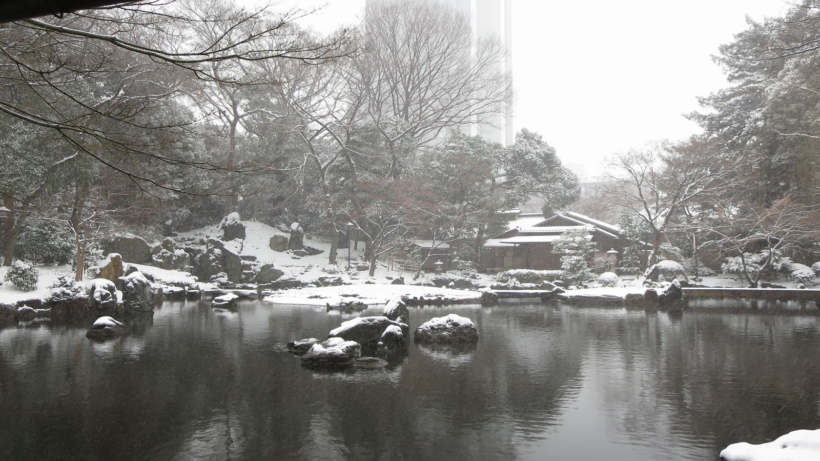 [IMG_0294%255B3%255D.jpg]