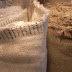 R0032001.JPG