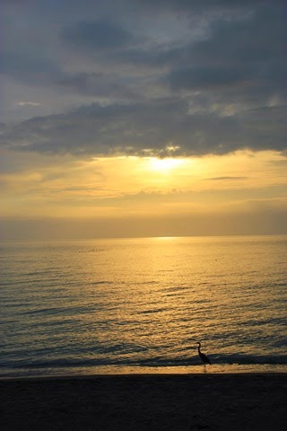 Sunset Turtle Beach Sunset Turtle Beach