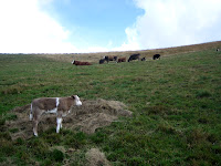 20070920_0033.JPG