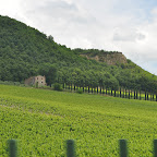 DSC_4738.jpg