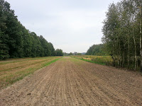 20120915_112055.jpg Photo 20120915_112055.jpg Photo