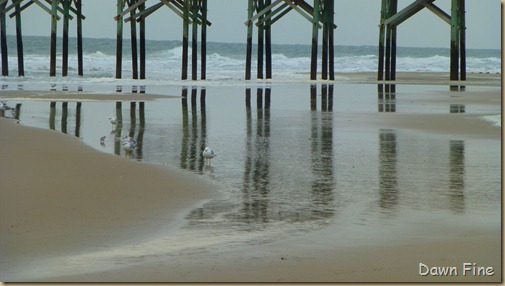 Pawleys island (4)
