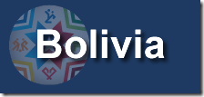 Bolivia venta de entradas tickets y boletos en Copa America primera fila