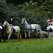 2011-09 Ruiter escorte_0023.jpg