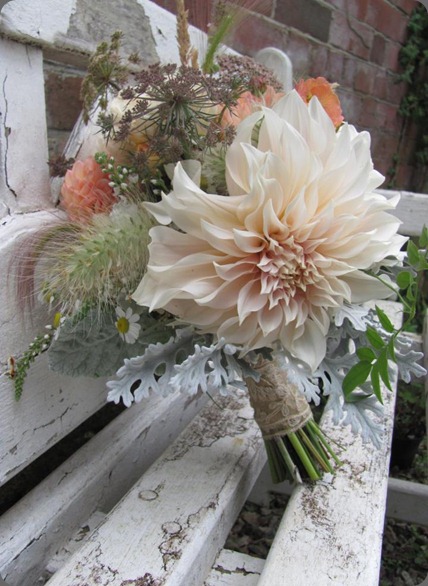 292946_357417694341438_1820723522_n the blue carrot