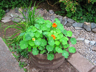 Click to see large image