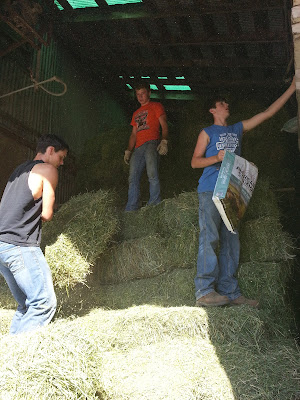 Washington FFA members baling hay.  Photo courtesy:  Washington FFA