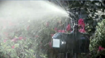[sprinkler%255B4%255D.jpg]