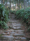 IMG_4873_512.JPG