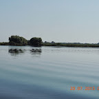 DSCN4436.JPG