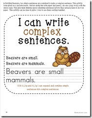 Mammals TpT art 3 Mammals TpT art 3