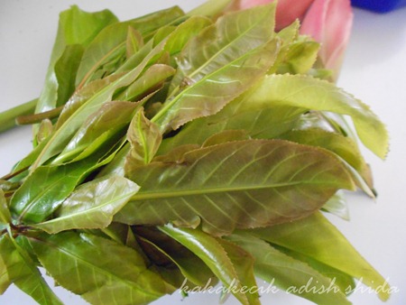 DSCN2502 DSCN2502