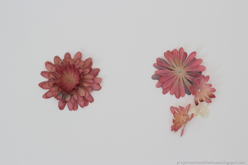 [IMG_0338%255B6%255D.jpg]